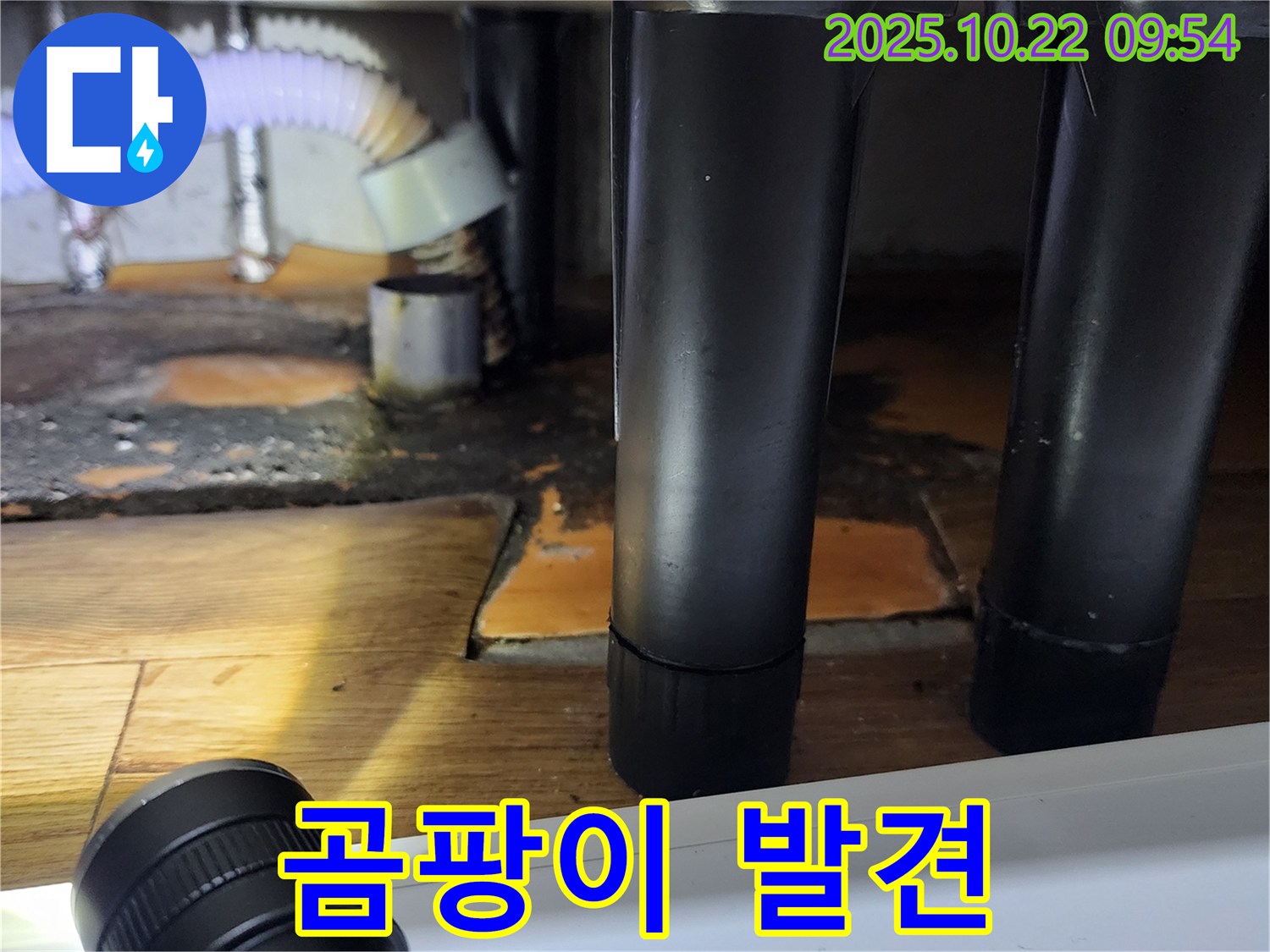 싱크대 하부 - 곰팡이 발견 - 누수 의심