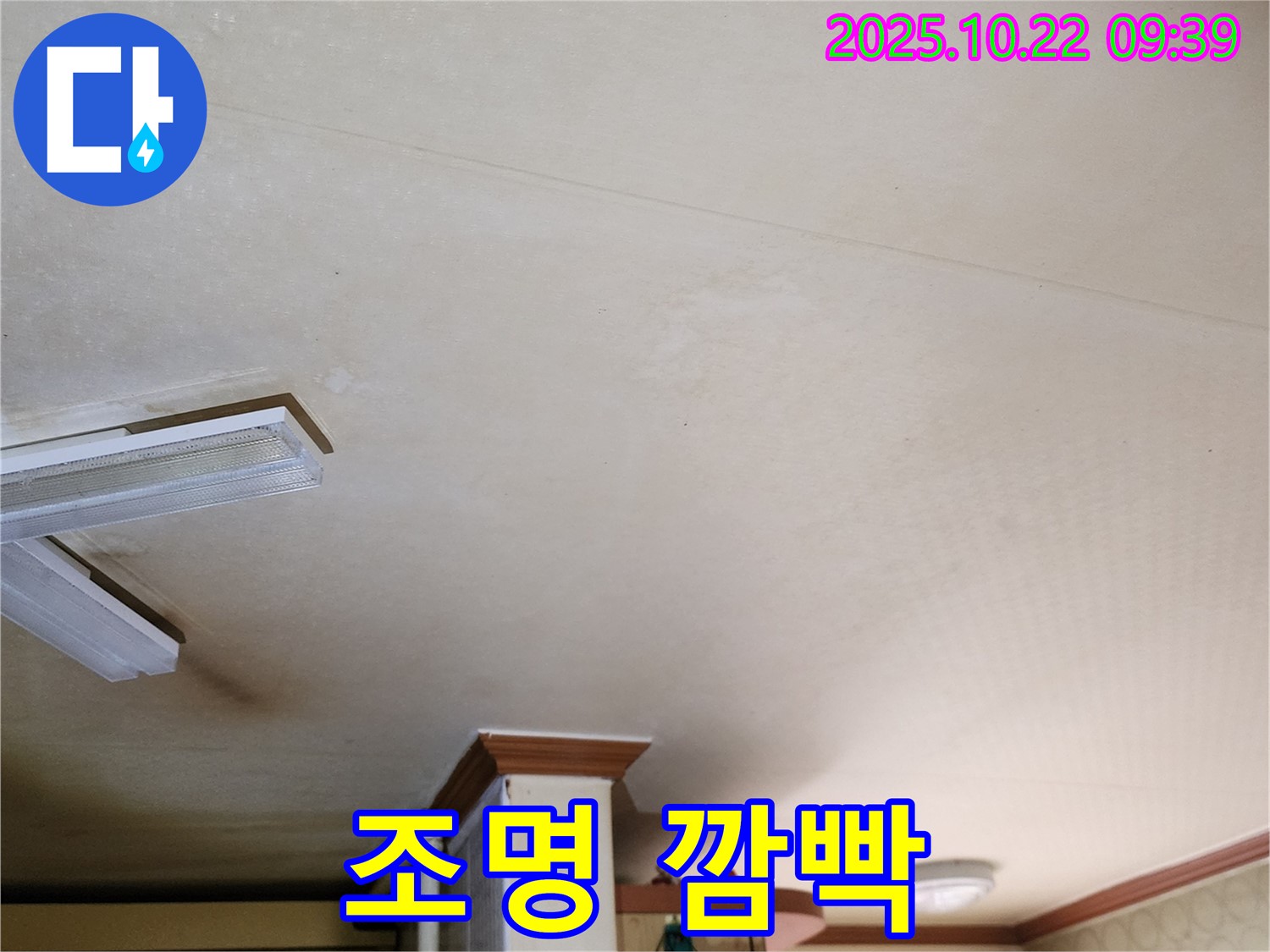 양주 천장 누수 - 조명 깜빡거림, 누전 위험