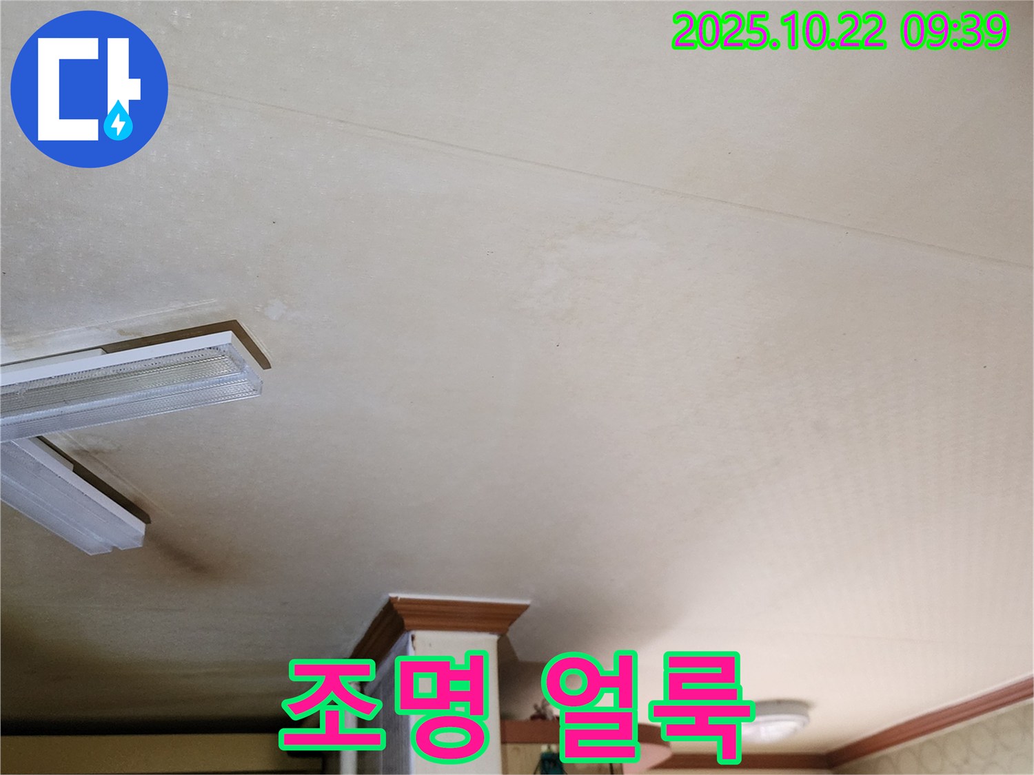 양주 천장 누수 - 조명 주변 얼룩, 누수 의심