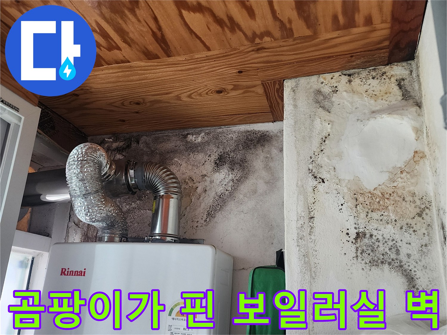 보일러 연통 주변의 심한 곰팡이와 습기 흔적