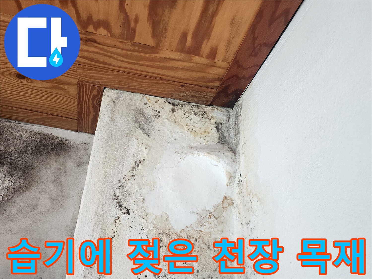 천장-목재-부분별-습기-침투-및-오염-상태
