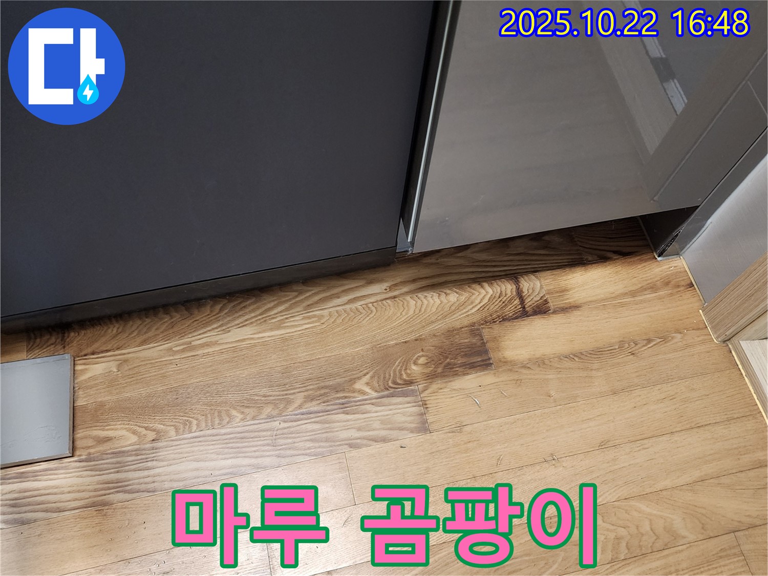 싱크대 밑 마루 곰팡이 - 습기 - 곰팡이 번식
