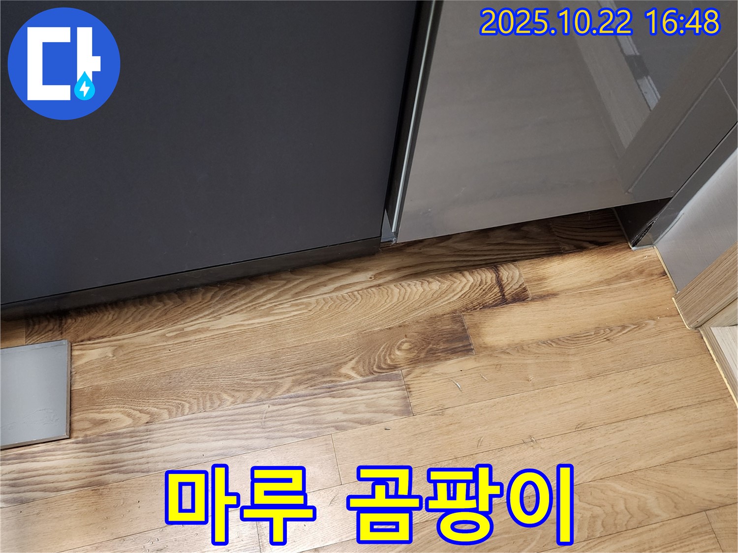 싱크대 밑 마루 곰팡이 - 습기 - 악취