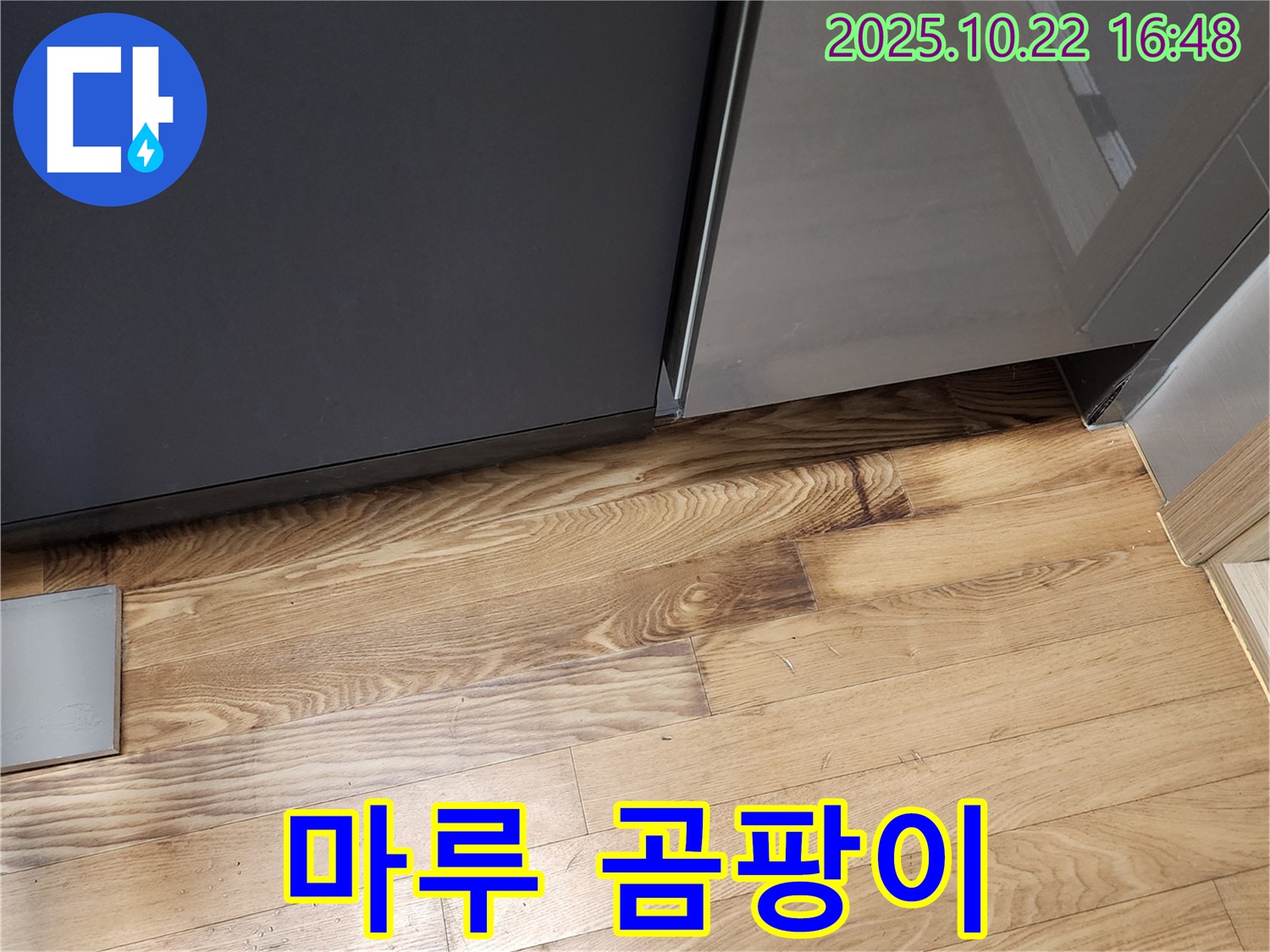 싱크대 옆 마루 곰팡이 - 습기 - 누수 흔적
