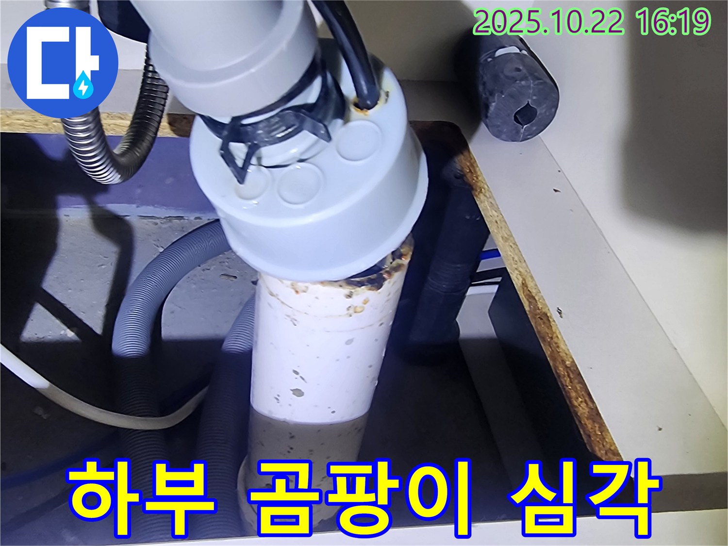 싱크대 하부 곰팡이 - 누수 장기화