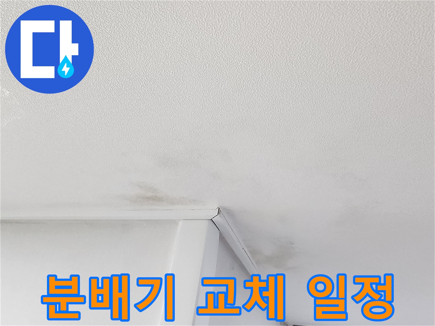 천장 곰팡이 - 누수 또는 결로 현상 원인