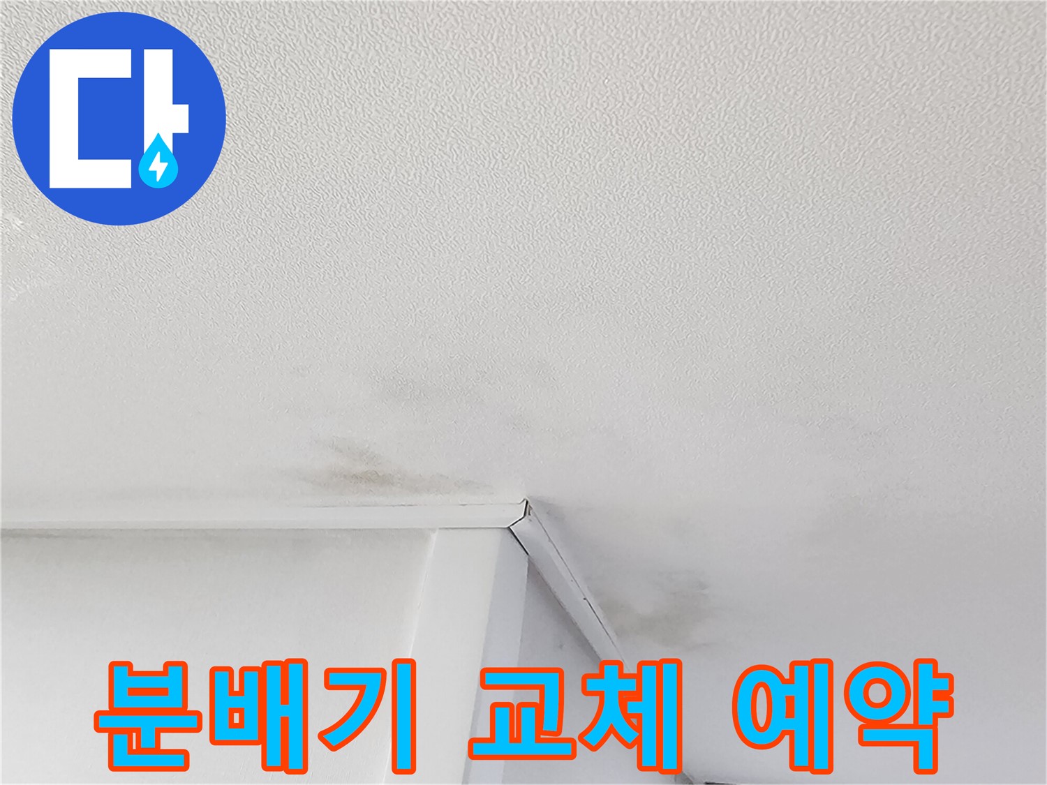 주말 누수 탐지 및 곰팡이 제거 서비스 제공