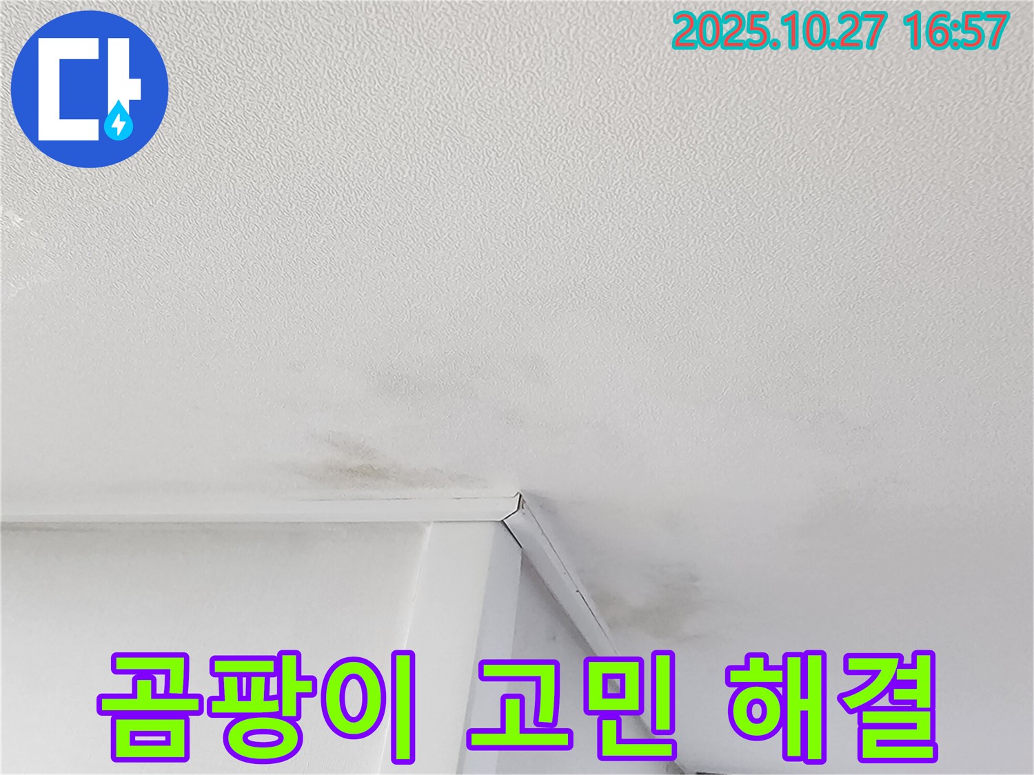 동작구 만양로 누수 - 천장 곰팡이 문제 해결 및 쾌적한 환경 조성
