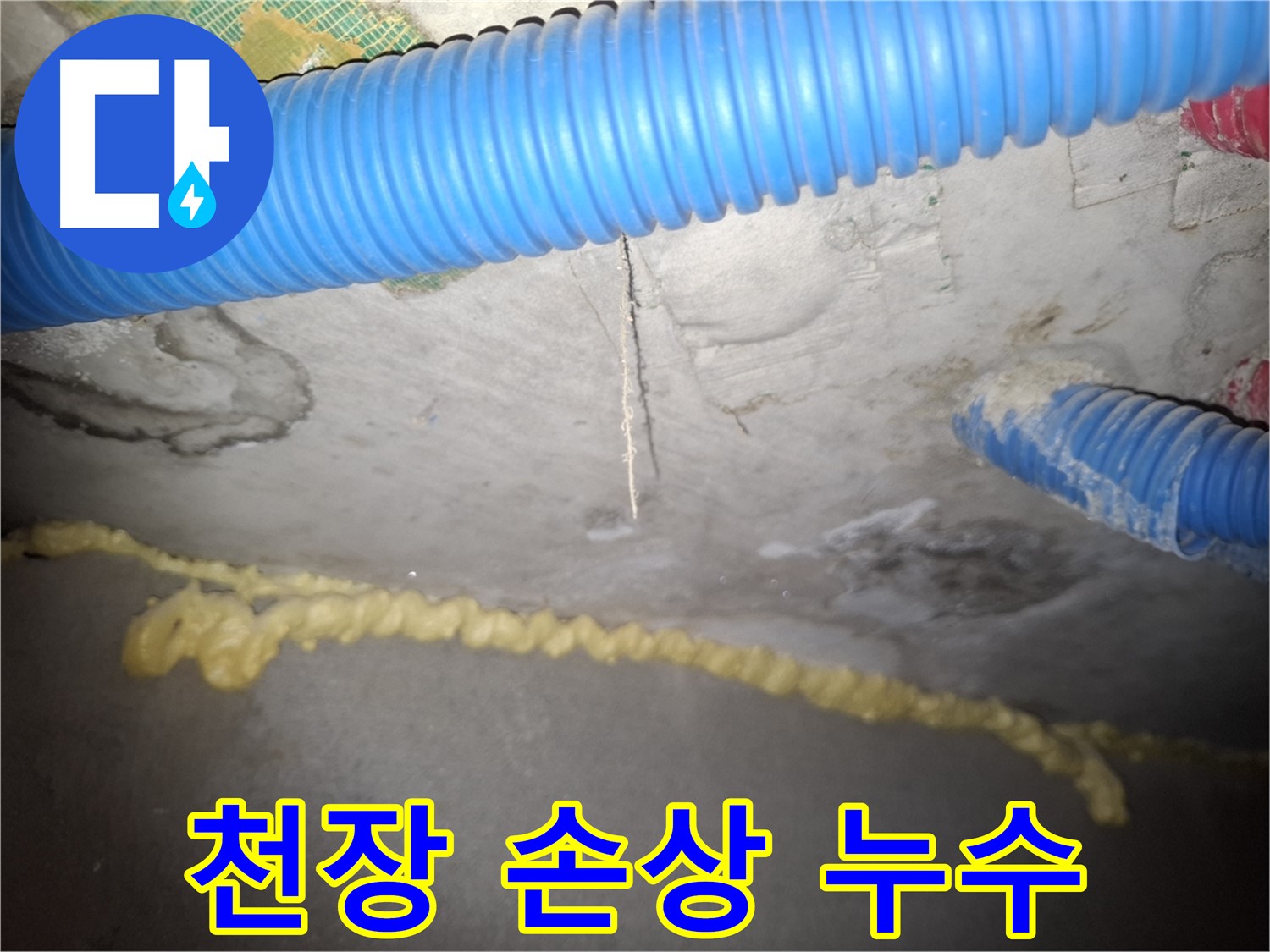 천장 손상으로 인한 누수 피해 확산 우려 - 신풍동 누수