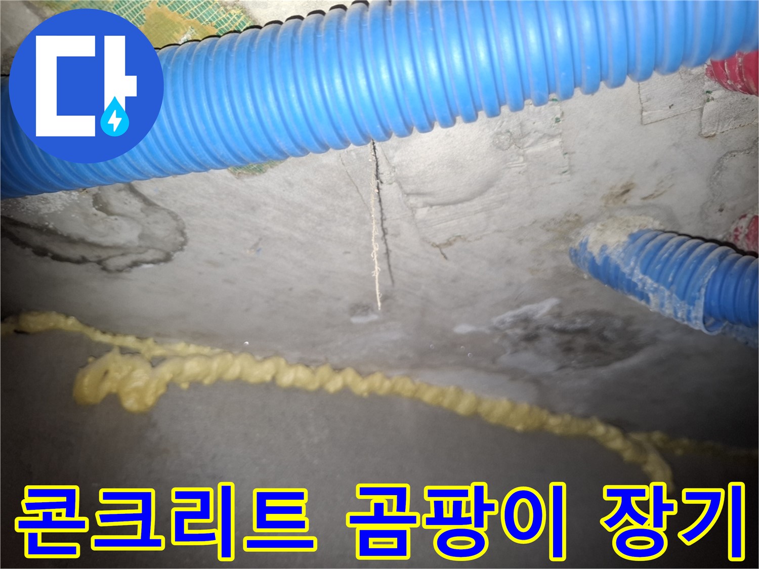 콘크리트 곰팡이 - 누수 장기화 가능성 - 신풍동 누수