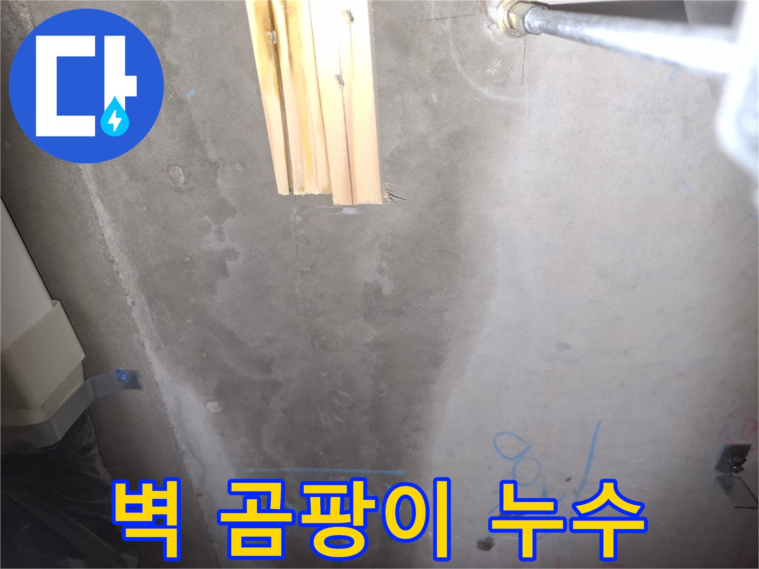 벽 곰팡이 - 누수 의심