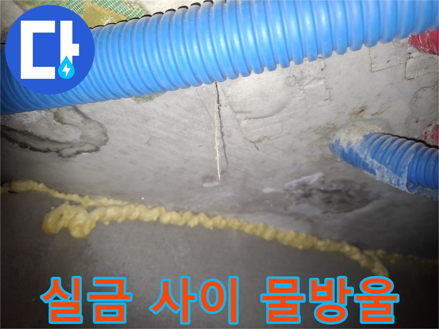 실금 사이로 물방울 - 누수 가능성 확인 - 신풍동 누수