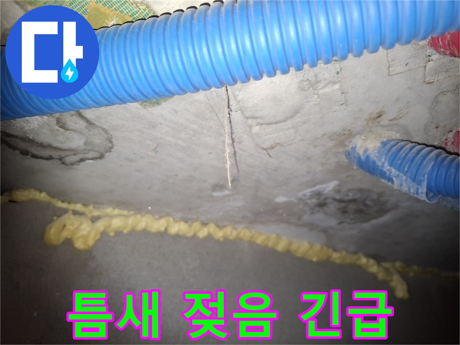 틈새 젖음 - 누수 긴급 상황 - 팔달구 신풍동