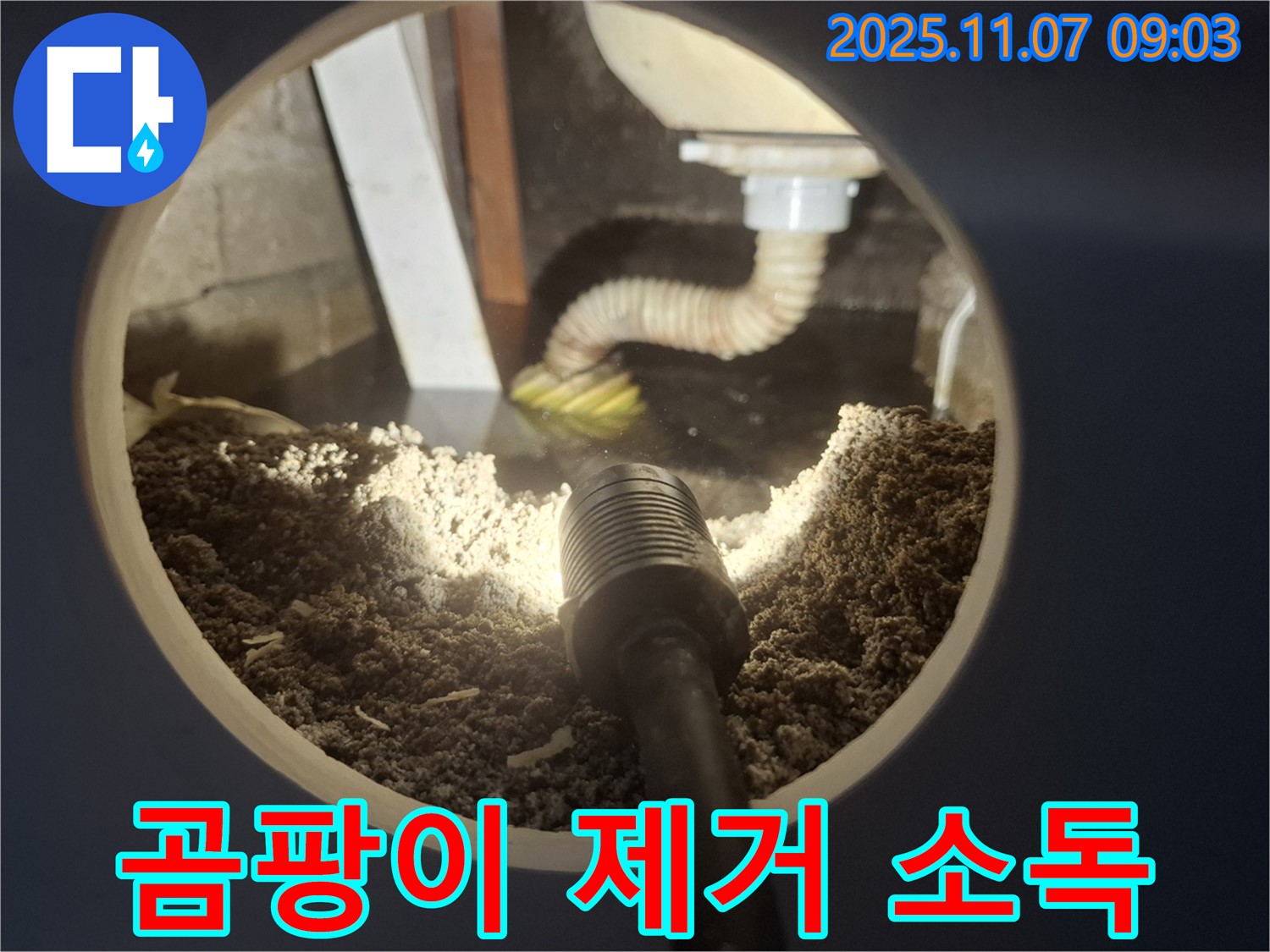 신풍동 누수 - 싱크대 하수구 주변 곰팡이 제거 및 소독 작업