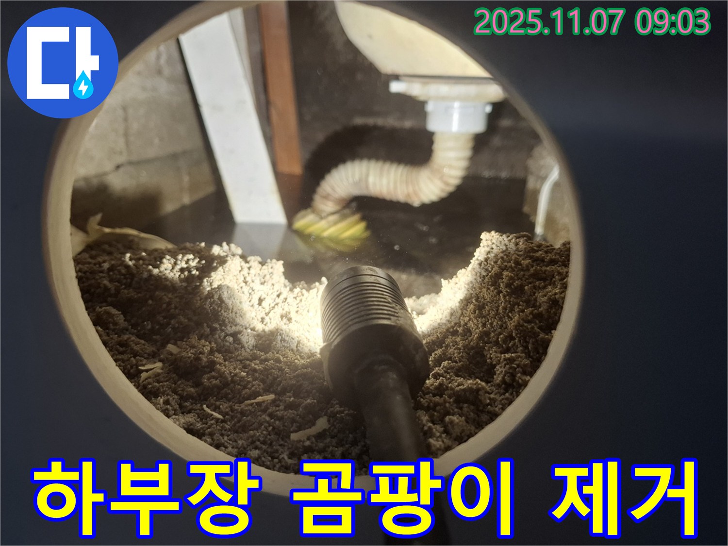 신풍동 주택 싱크대 하부장 곰팡이와 습기 제거 작업 진행