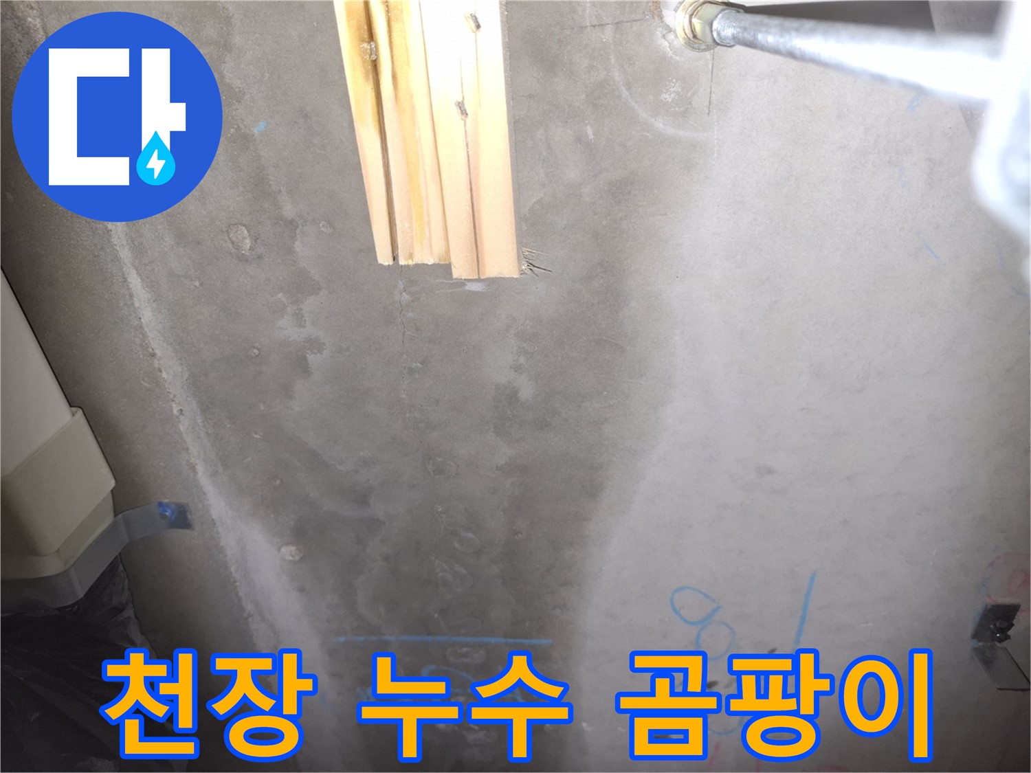 콘크리트 천장 누수 - 곰팡이 발생