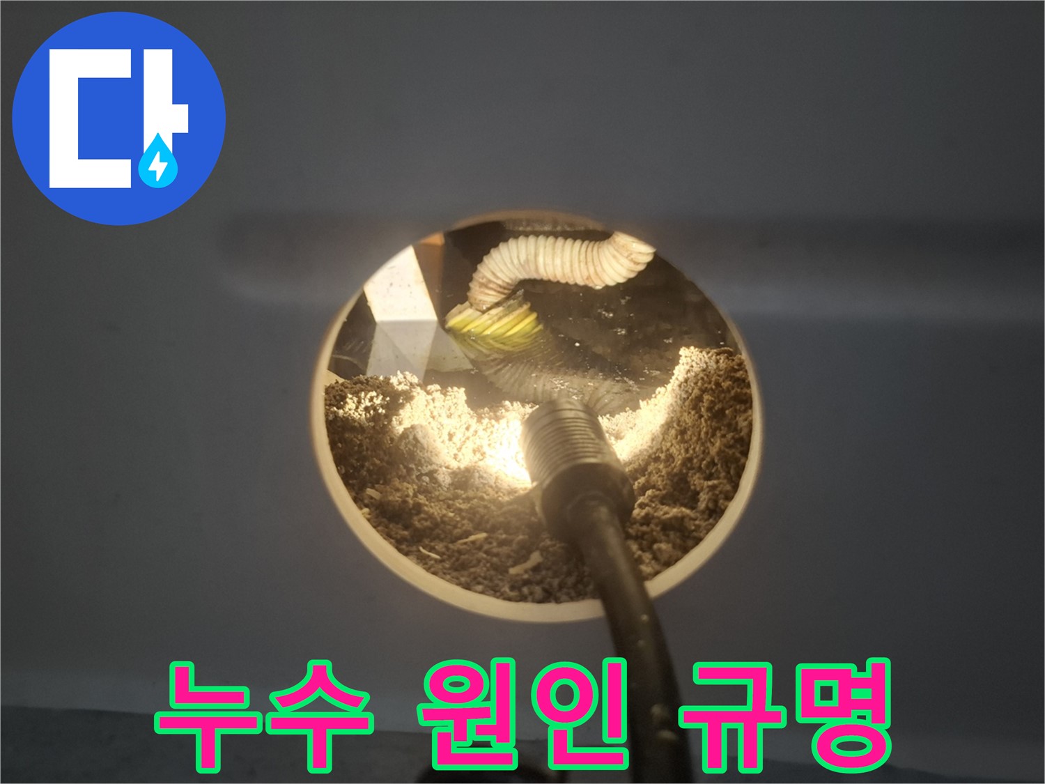 수원 팔달구 신풍동 화장실 누수 - 윗집 책임 여부 확인