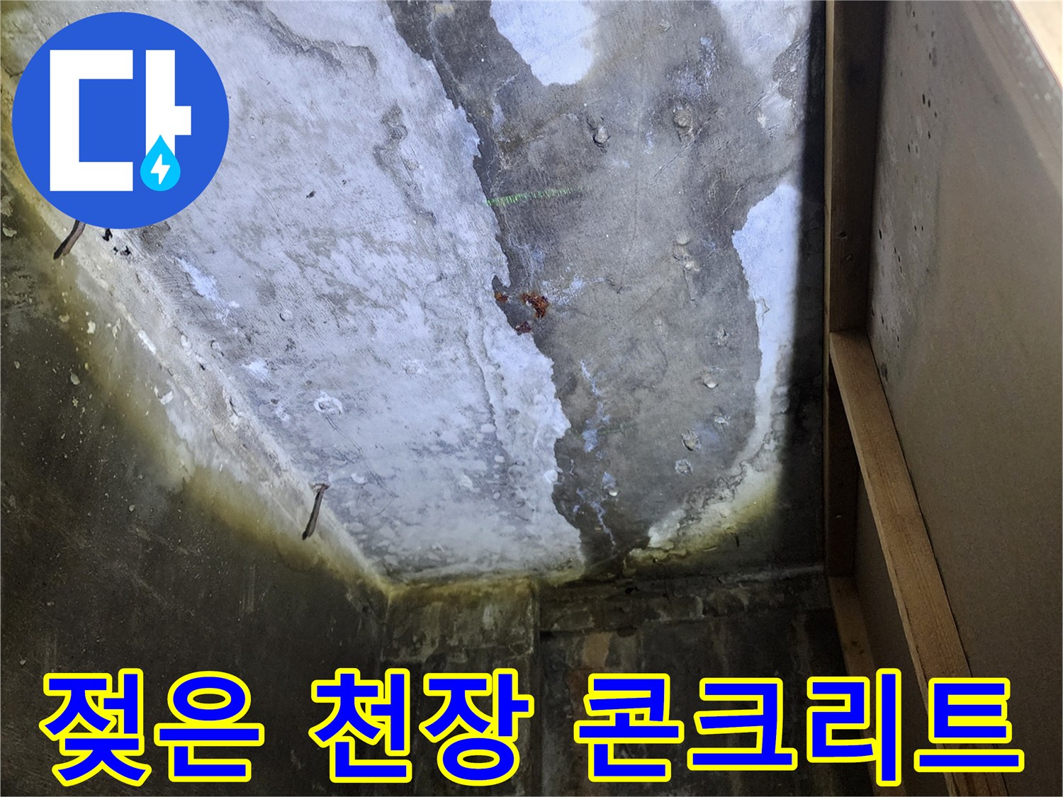 물기에 젖어 변색된-콘크리트 슬래브 현장
