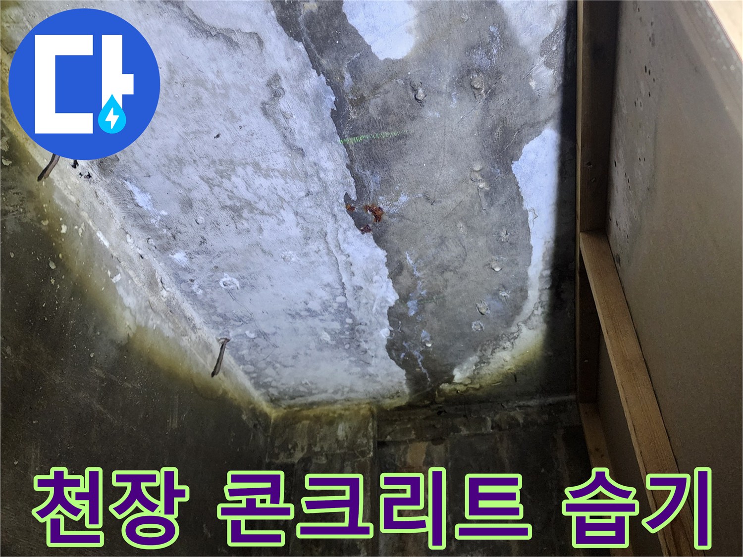 양주시 도하리-상가 천장 콘크리트 슬래브의 습기 침투 상태