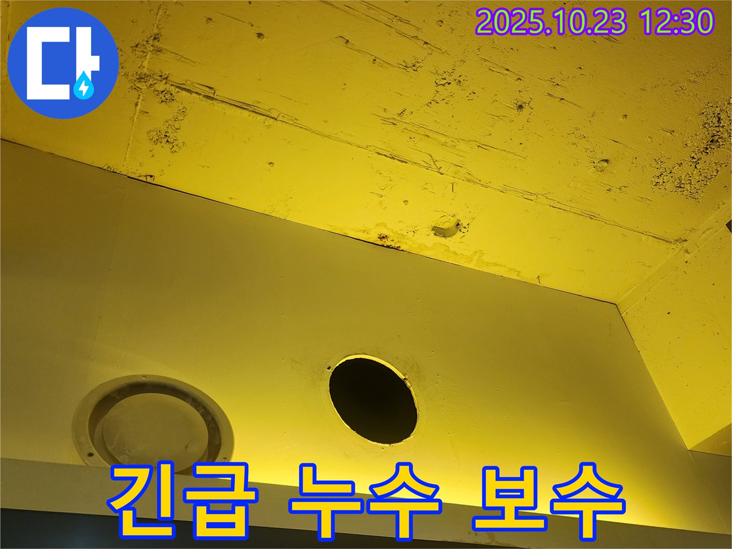 양주 하패리 천장 누수 - 긴급 보수가 필요한 상황