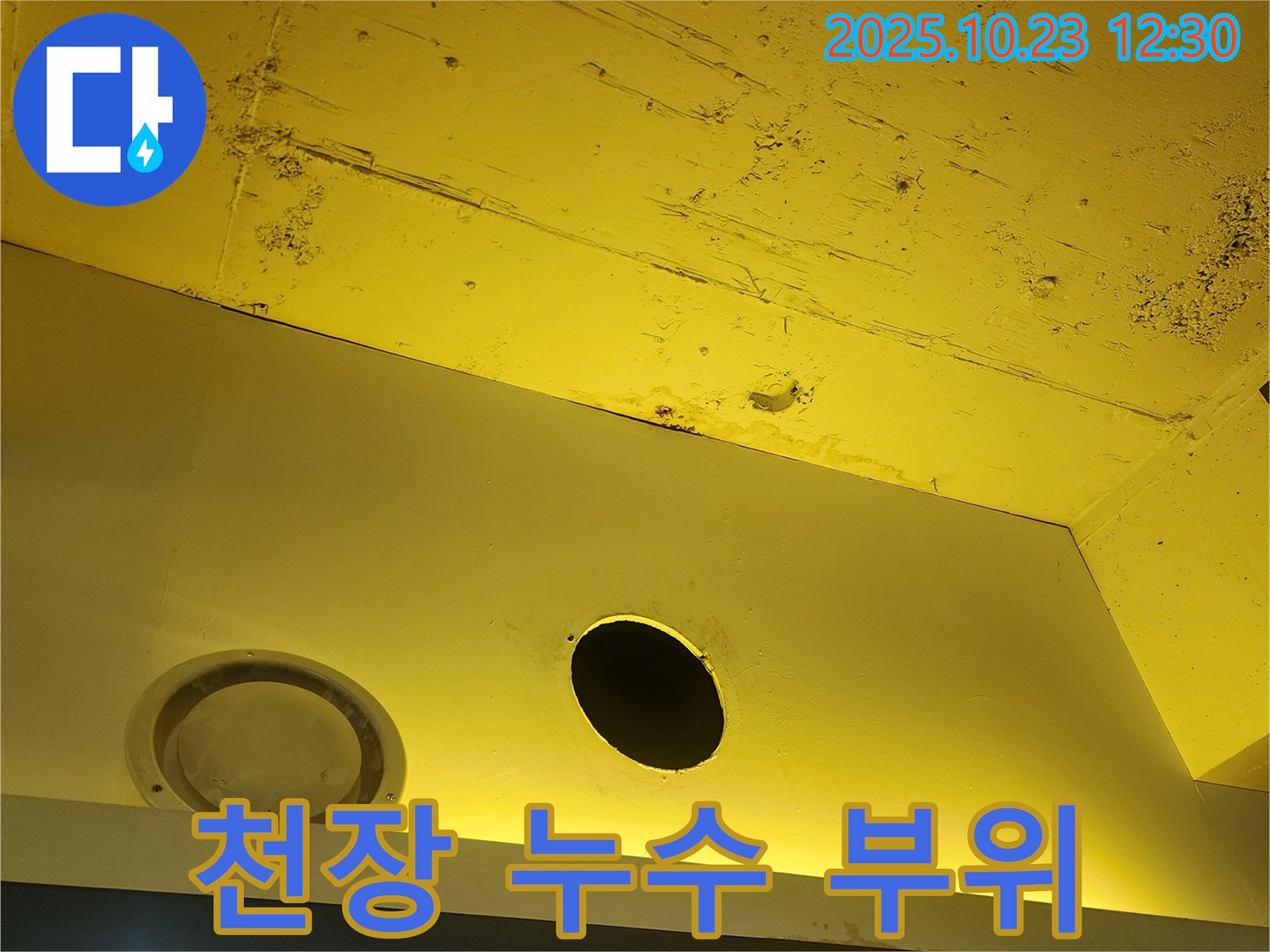 양주 하패리 천장 누수 - 정확한 누수 부위 확인