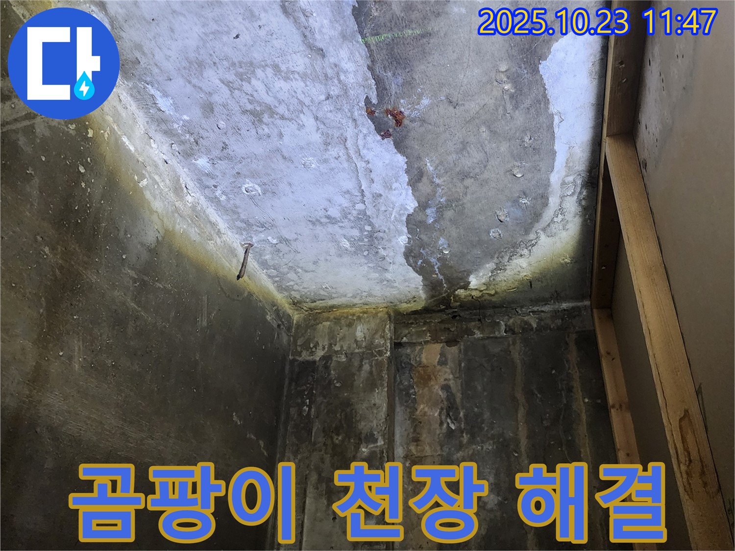 양주시 - 곰팡이 핀 천장, 누수 해결 우선