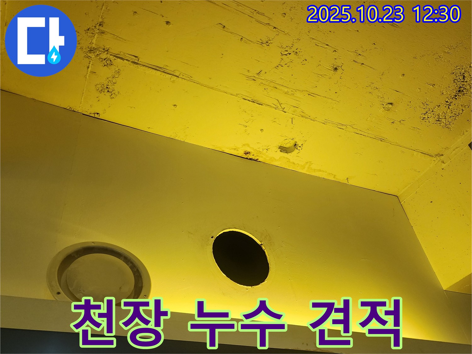 양주시 은현면 천장 누수 - 합리적인 견적 제시