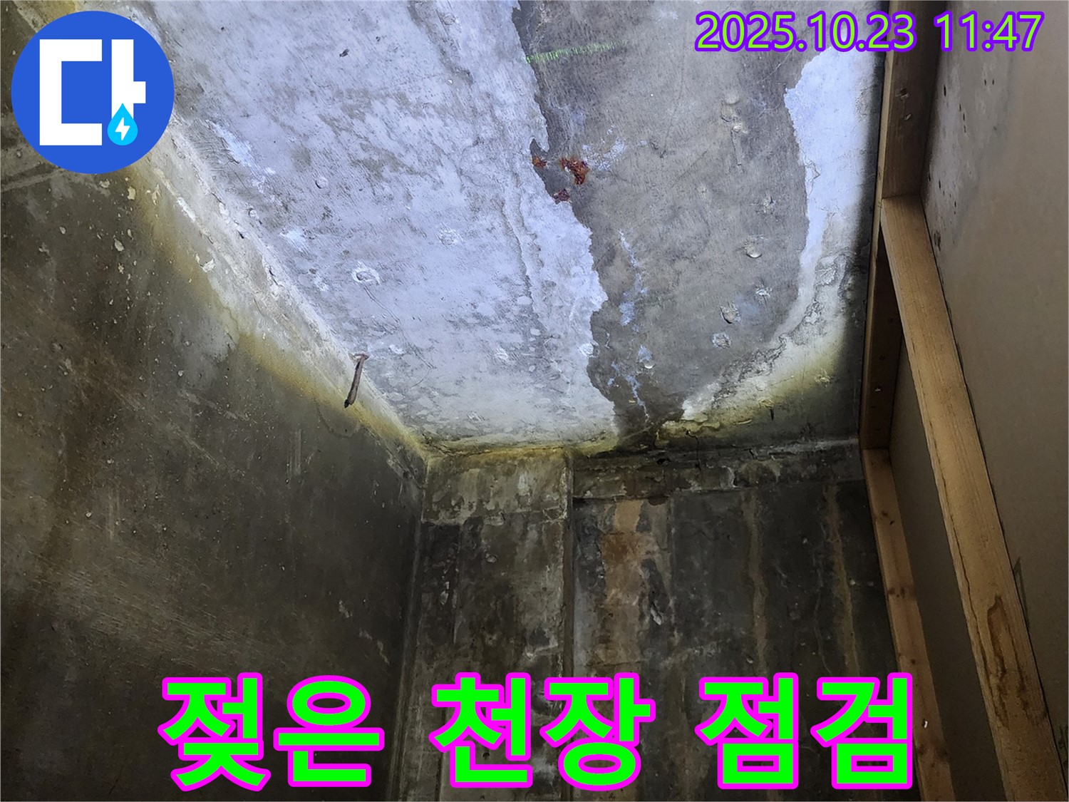 양주시 - 젖은 천장, 빠른 누수 점검 필수