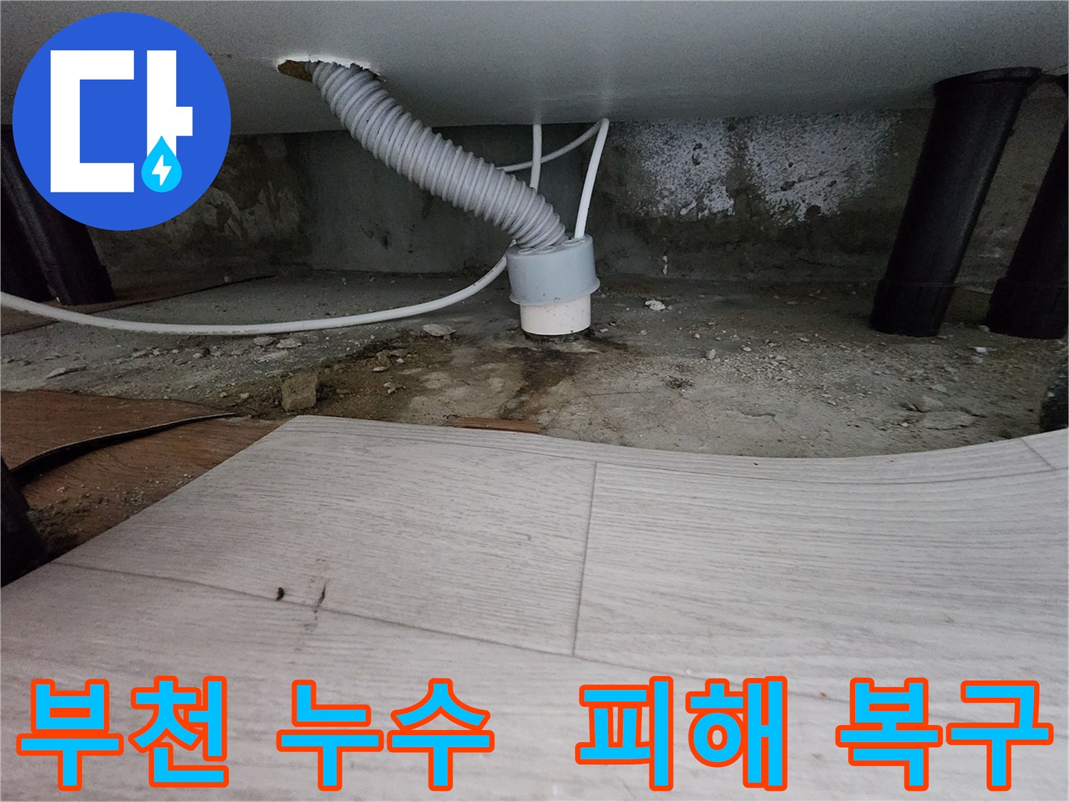 곰팡이 제거 및 방수 작업 후 깨끗해진 벽면 - 역류 피해 복구