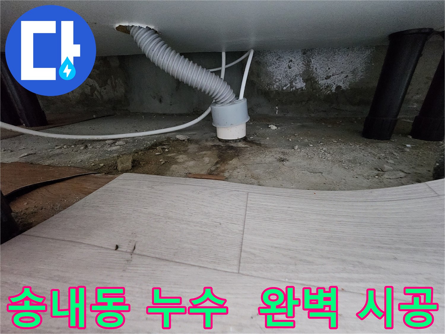 배수관 교체 및 배수 트랩 설치 - 완벽한 역류 방지 시공