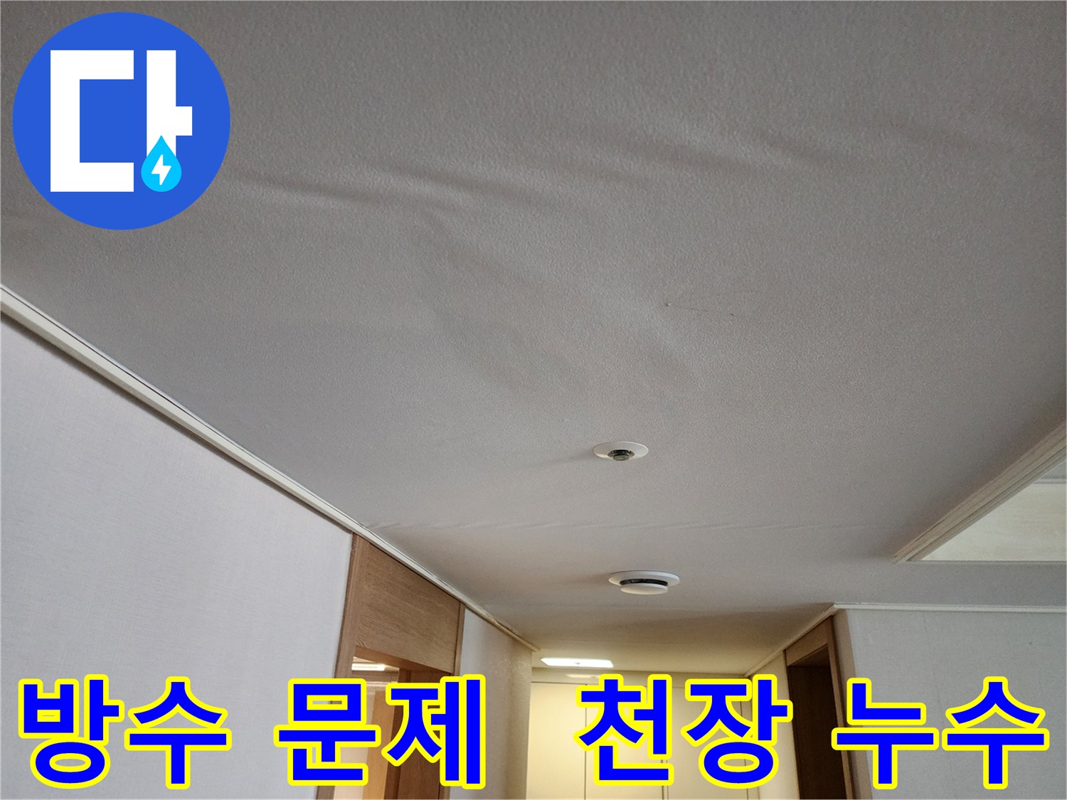사우동 화장실 누수 탐지 - 아랫집 천장 누수 원인 방수 문제