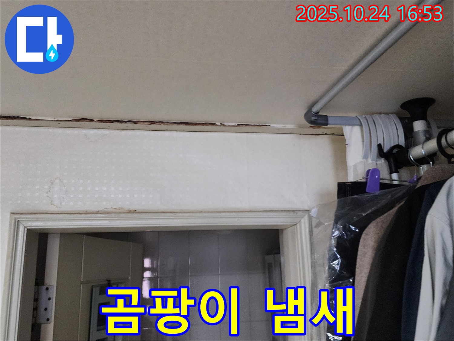 양주시 - 곰팡이 냄새 - 숨겨진 누수 찾기