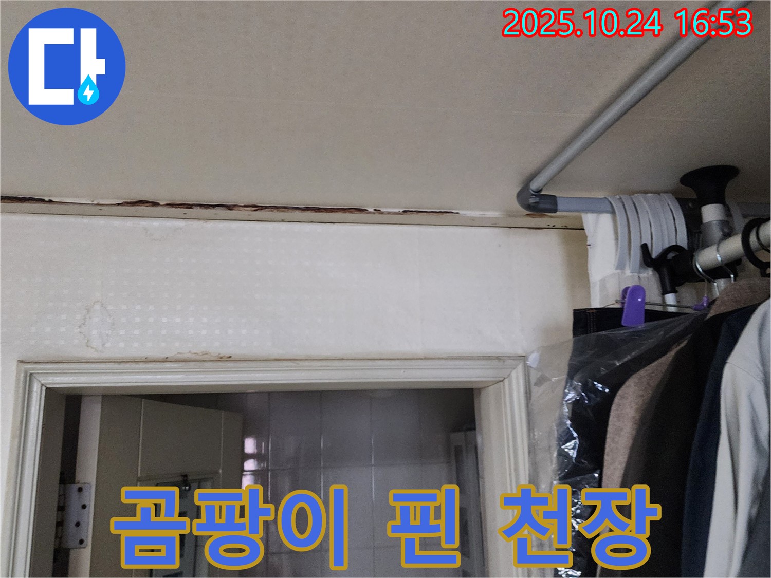 양주시 - 곰팡이 핀 천장 - 누수부터 해결