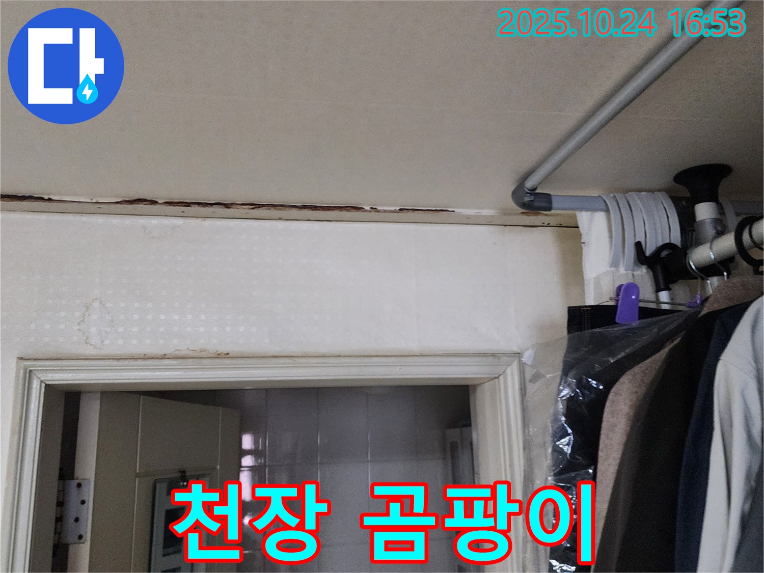 양주시 - 천장 곰팡이 - 건강 위협, 빠른 진단