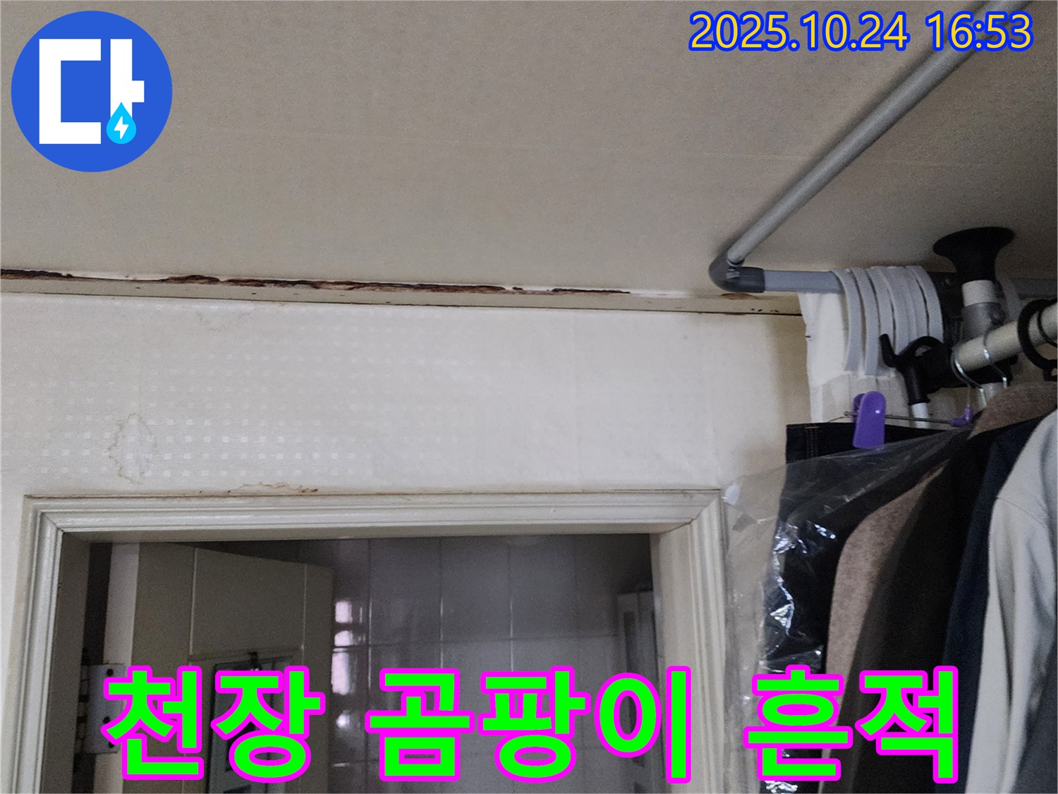 양주시 - 천장 곰팡이 흔적 - 누수 해결 우선
