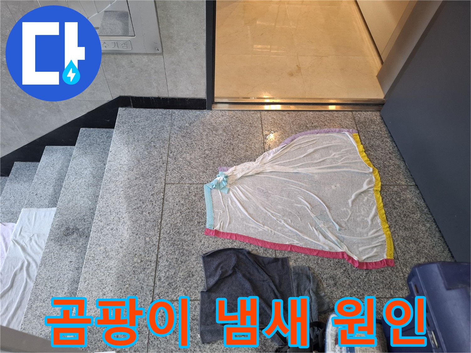 곰팡이 냄새 - 덕양구 누수탐지
