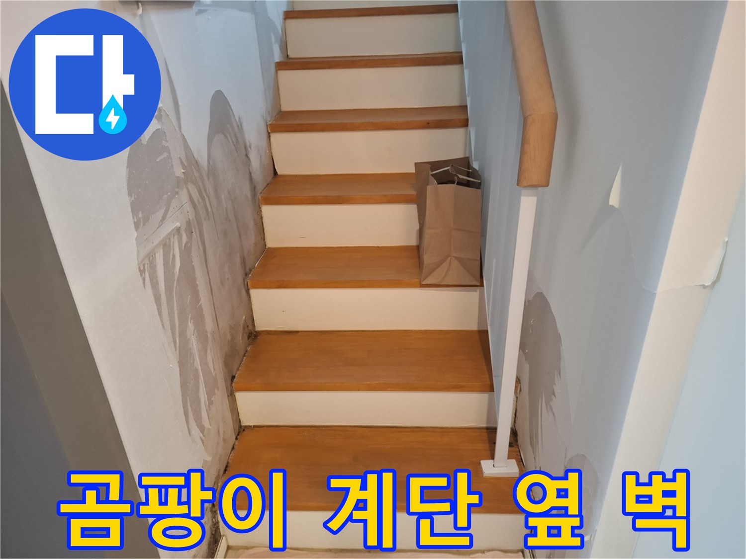 곰팡이 슨 계단 옆 벽 - 누수 해결 필수