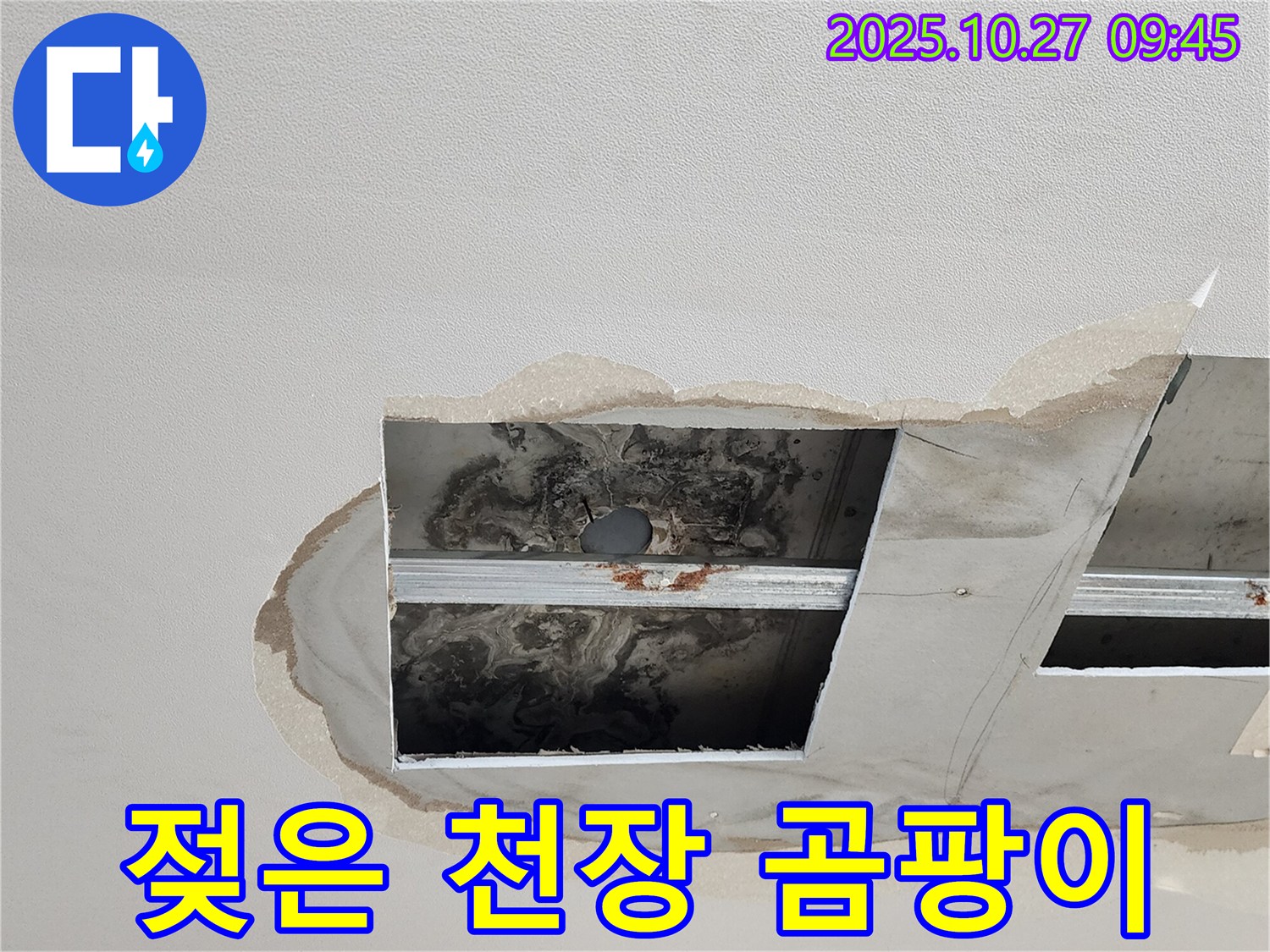 양주 옥정 천장 누수 - 젖은 천장, 곰팡이 확산 우려!