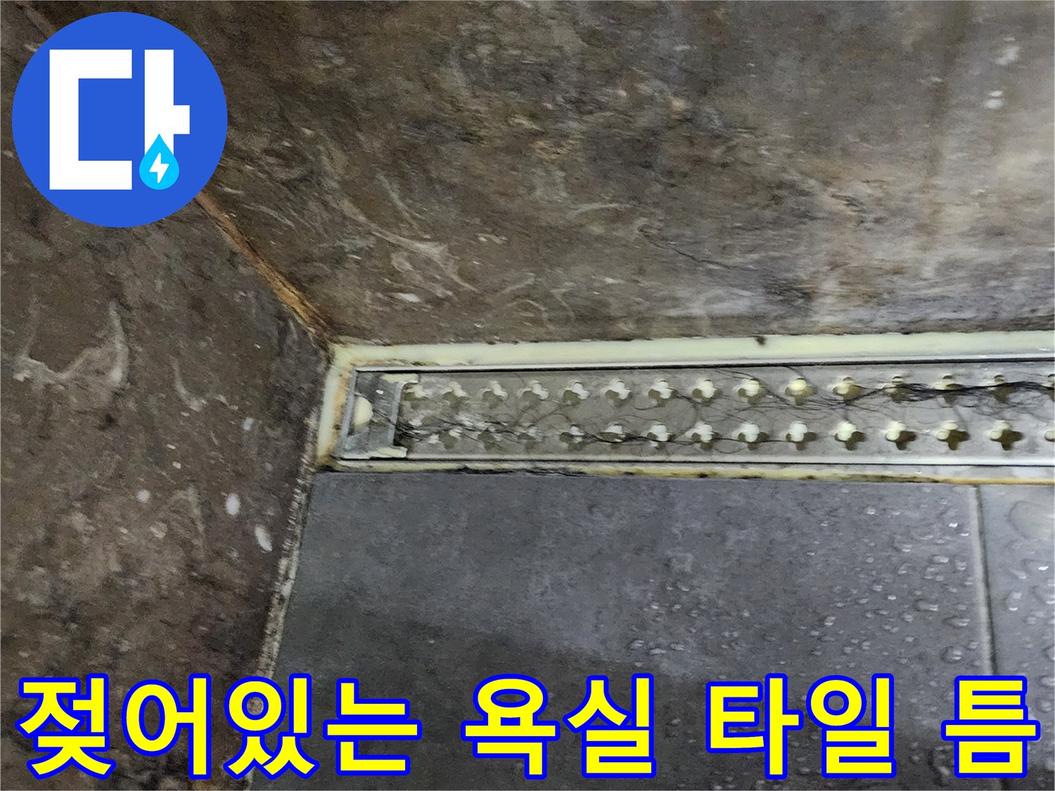 양주 옥정동-타일 사이로 스며든 물기 현상