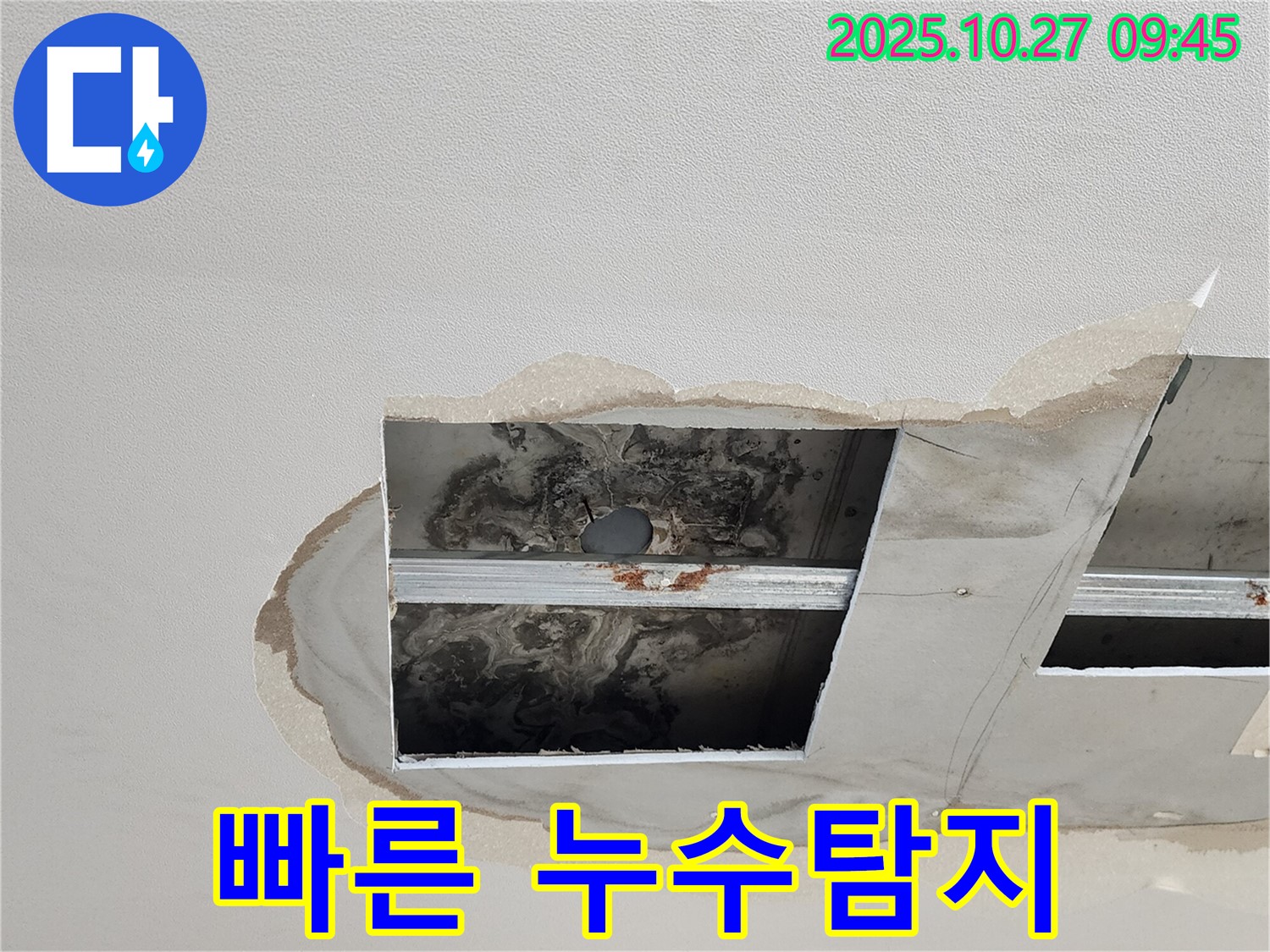 옥정 천장 누수 현장 - 신속한 누수탐지 진행