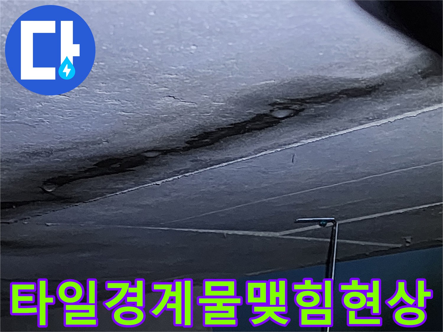 욕실 타일 사이의 습윤한 변색 부위