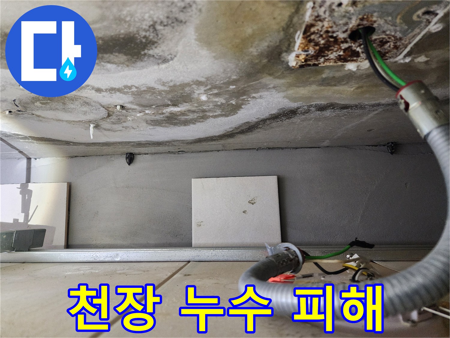 심각한 천장 누수 - 곰팡이