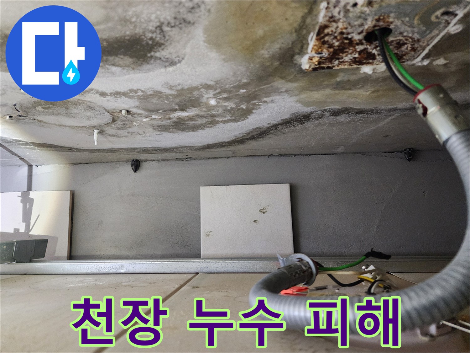 천장 누수 - 곰팡이 심각한 상태