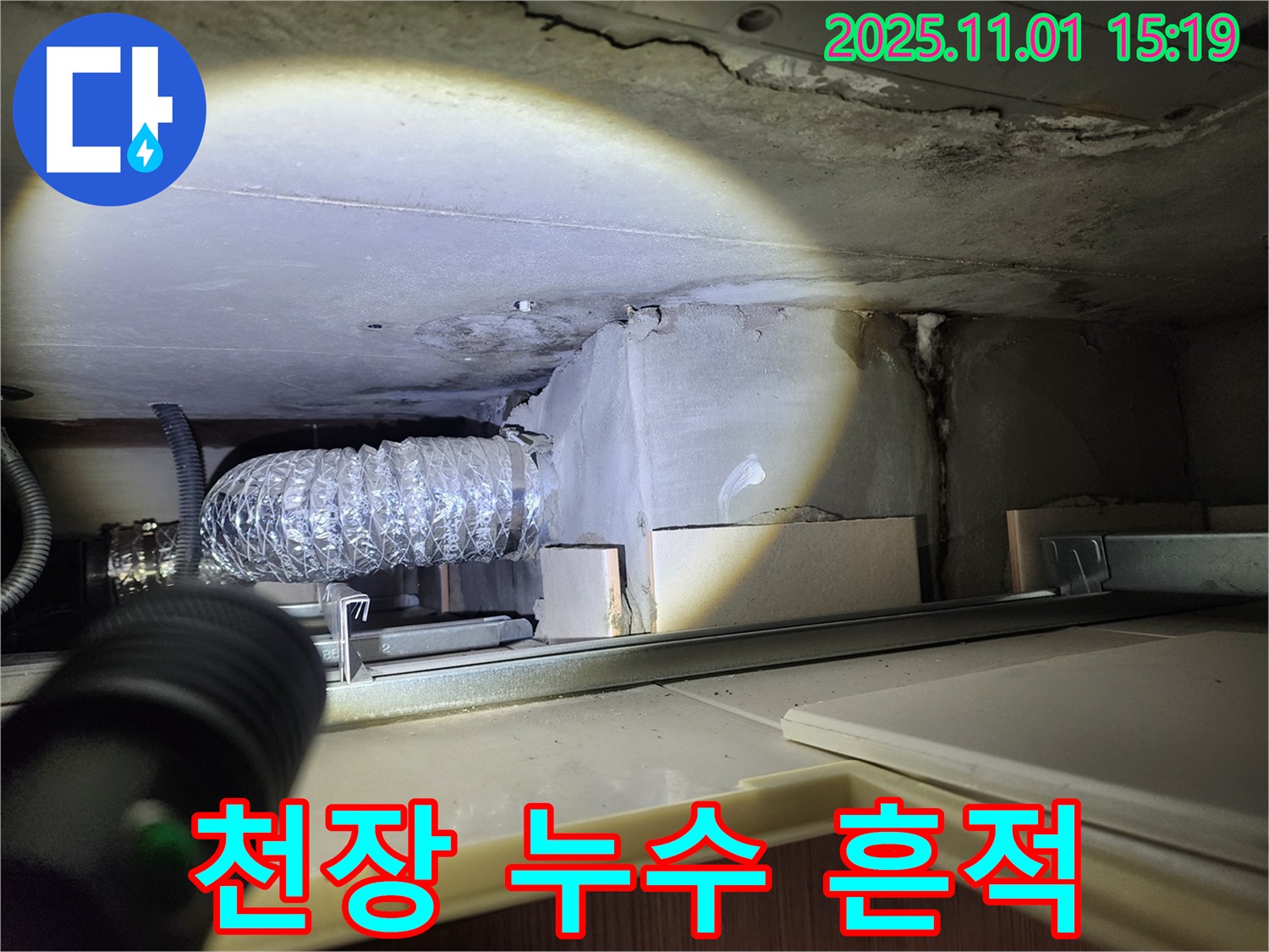 천장 누수 - 누수 흔적과 곰팡이