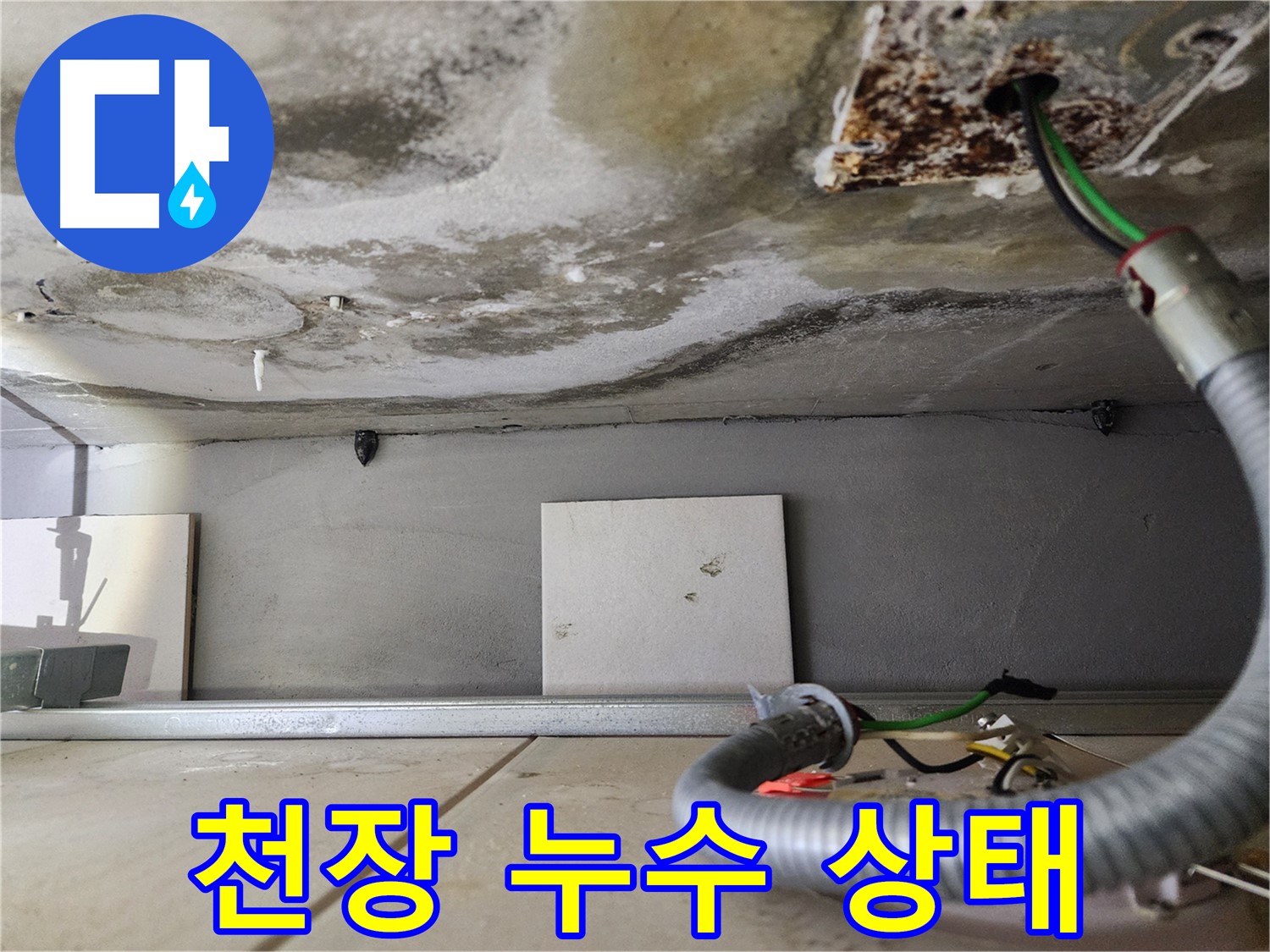 천장 누수 - 물 얼룩과 곰팡이