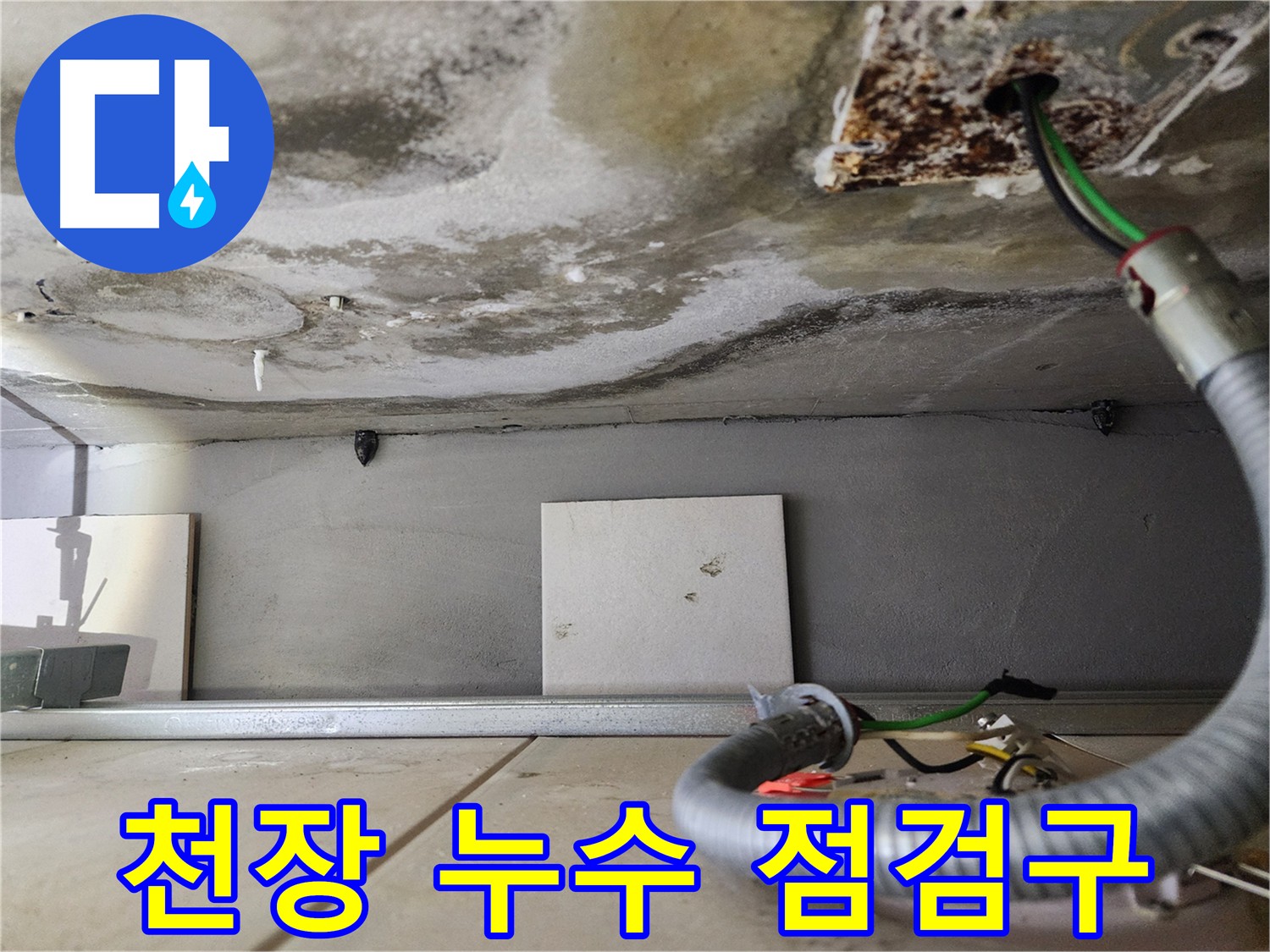 천장 누수 - 점검구 주변 곰팡이
