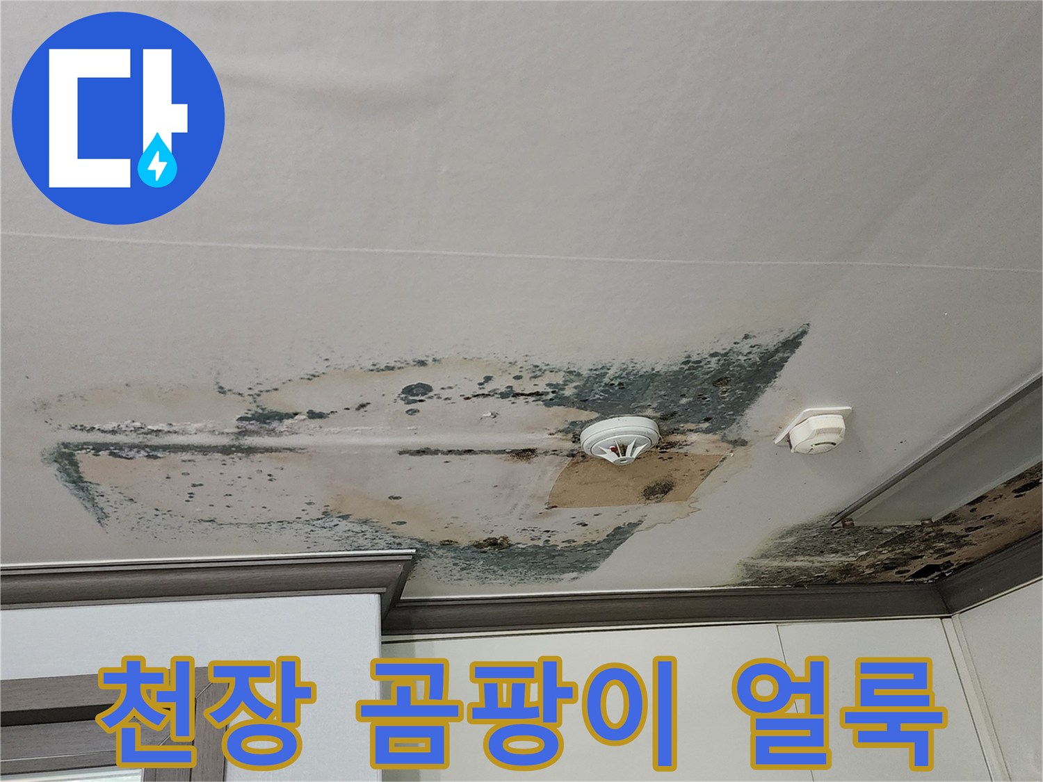 물샘으로 인해 넓게 번진 천장 곰팡이 흔적