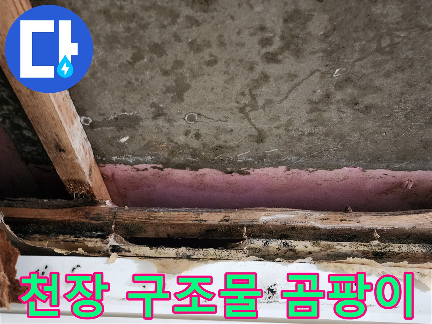 습기로-검게-변한-천장-내부-구조재
