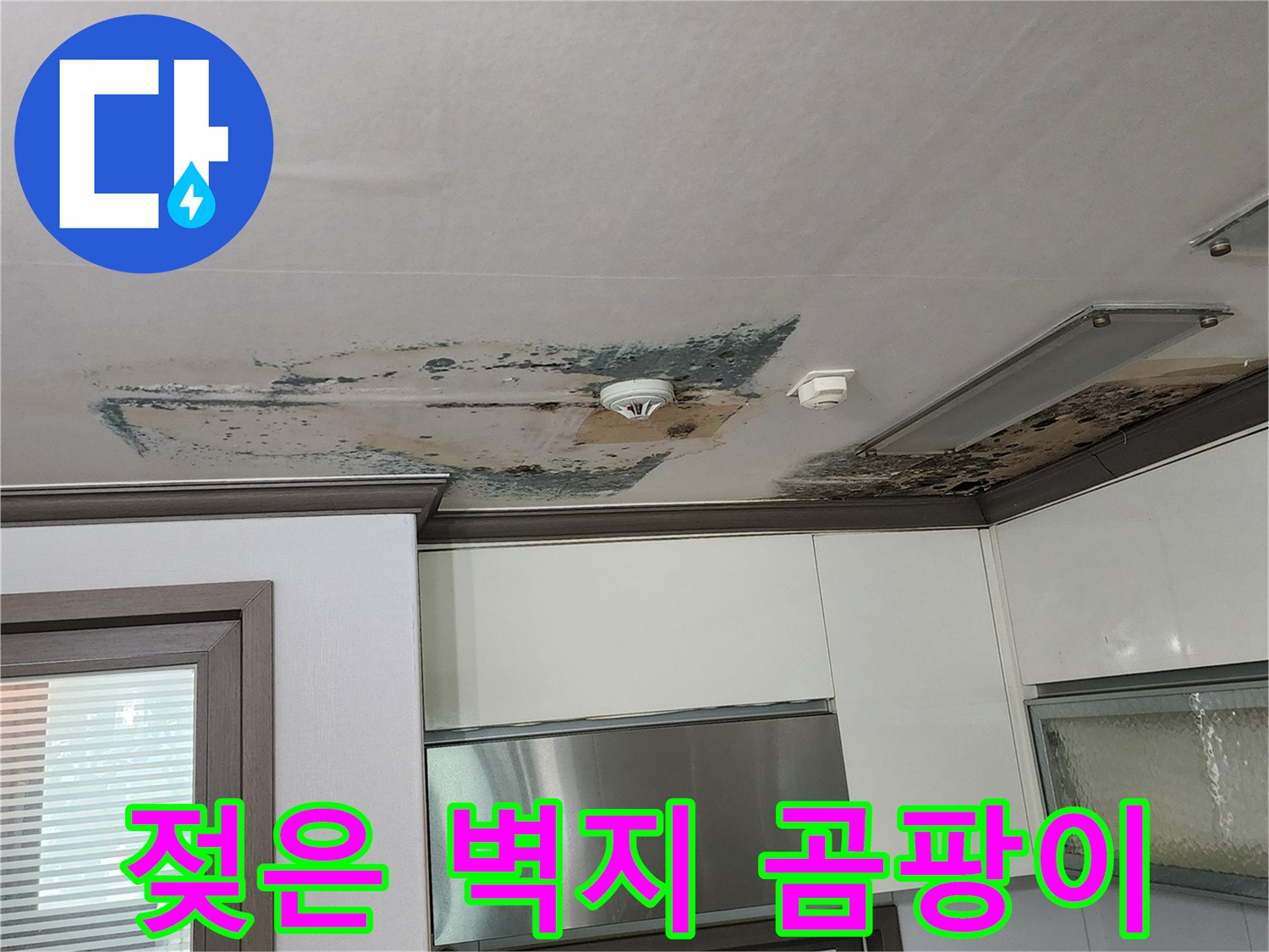 천장 구석부터 번져나온 검은색 곰팡이 흔적