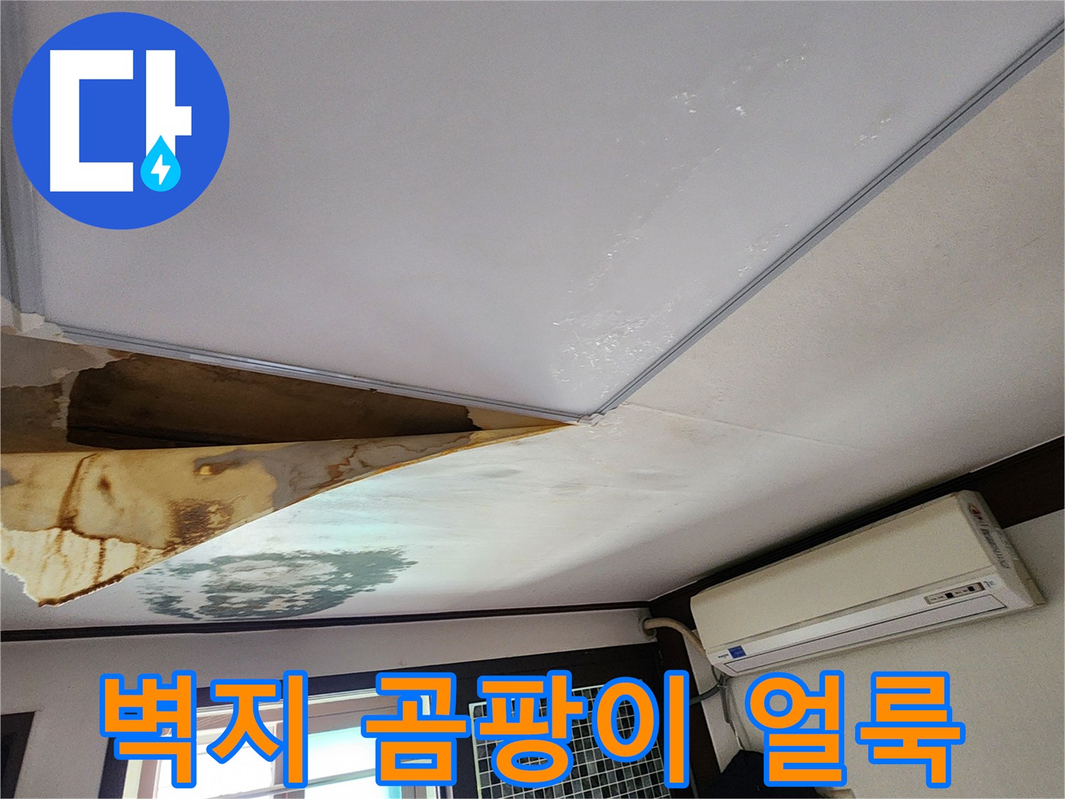 천장-구석의-검은-곰팡이와-습기-흔적